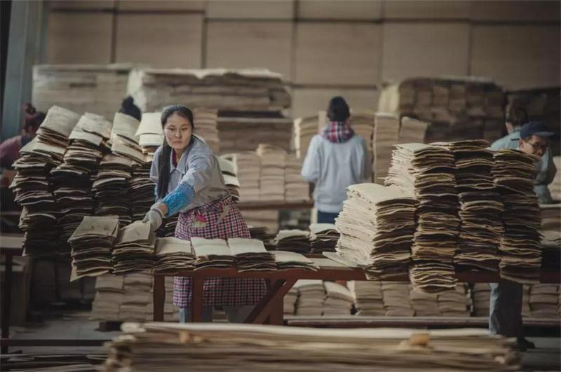 九游会J9之造——九游会J922周年特殊奉献品质篇