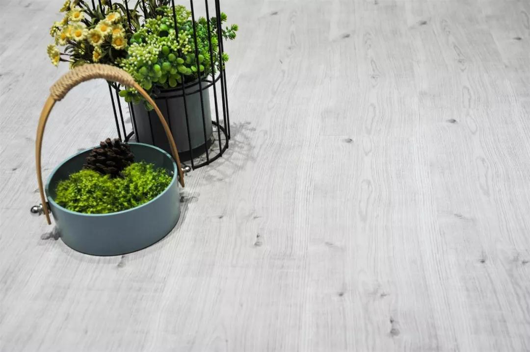 九游会J9强化地板伊丽莎白系列-5806