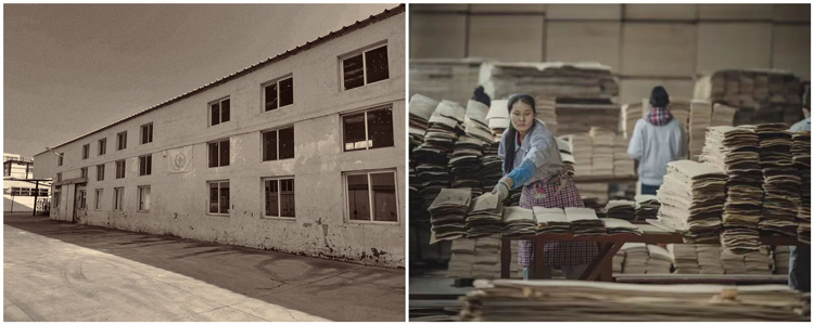 九游会·J9 - 中国官方网站 | 真人游戏第一品牌