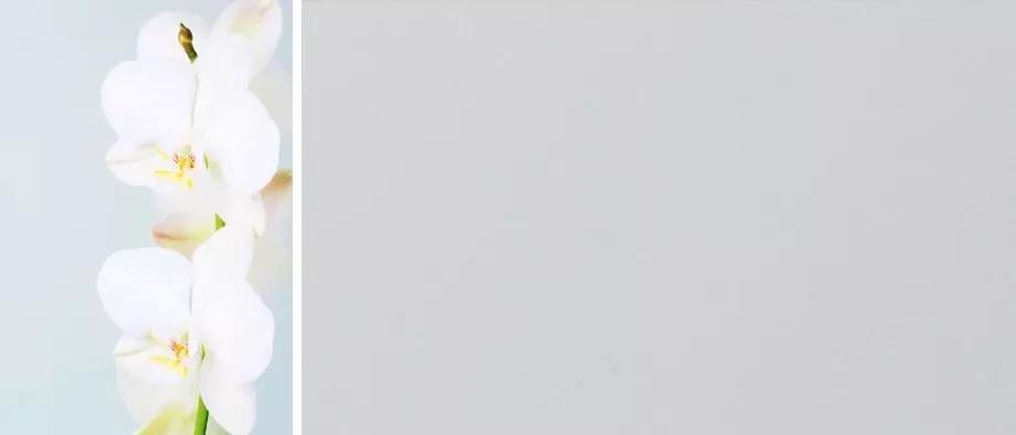 九游会·J9 - 中国官方网站 | 真人游戏第一品牌