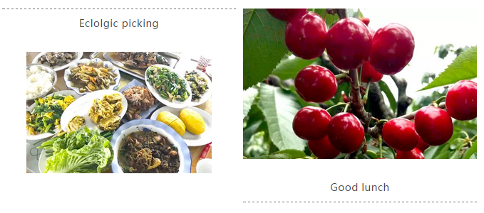 九游会·J9 - 中国官方网站 | 真人游戏第一品牌