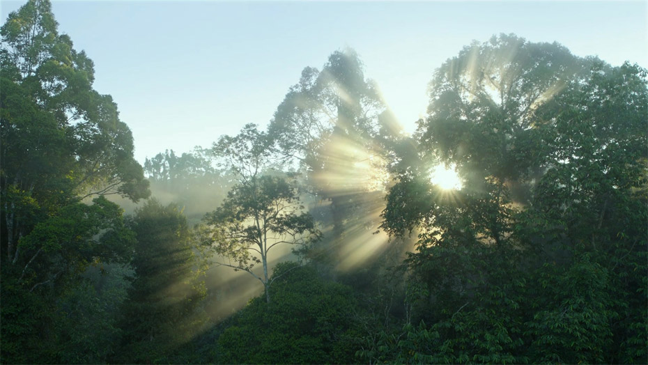 九游会·J9 - 中国官方网站 | 真人游戏第一品牌