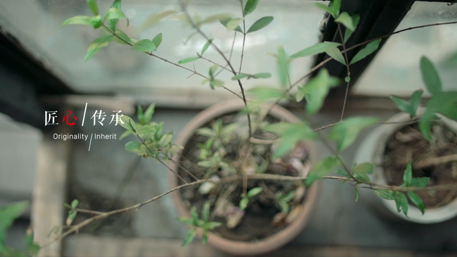 九游会·J9 - 中国官方网站 | 真人游戏第一品牌