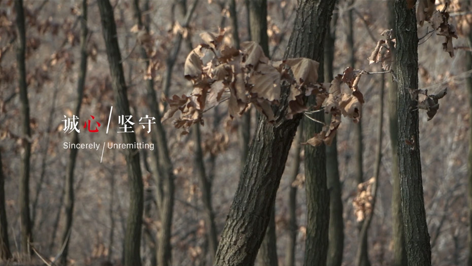 九游会·J9 - 中国官方网站 | 真人游戏第一品牌